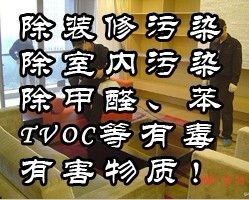 上海市普陀區環境監測站 室內環境檢測與治理的專業守護者